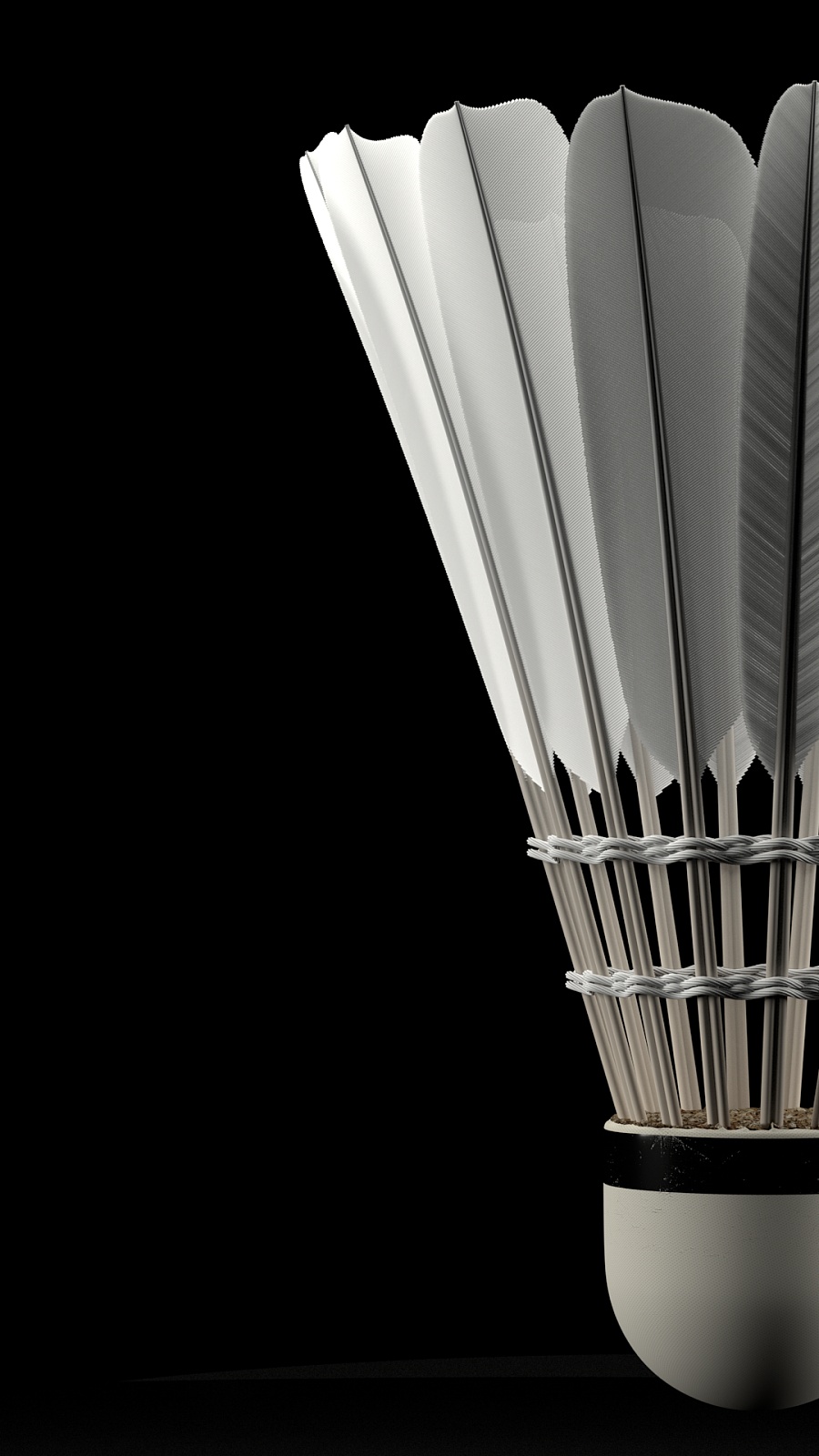 臂展优势给 臂展优势给